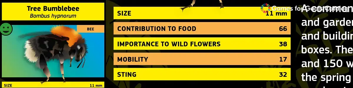 Know your Pollinators