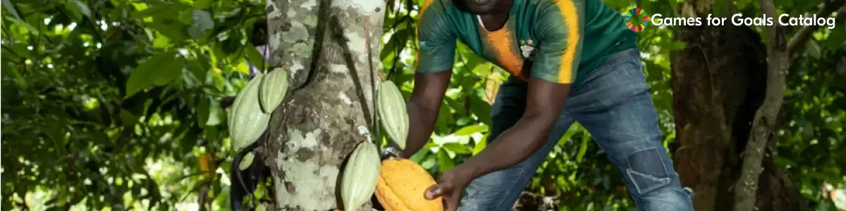 Fair Income for Cocoa Farmers (Een leefbaar inkomen voor de cacaoboer)