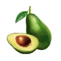 Potatoes, corn, avocado (Kartoffel, Mais und Avocado)